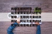 揭秘互联网时代，开网站流量费背后的秘密与策略，互联网流量经济揭秘，网站流量费的秘密与营销策略全解析