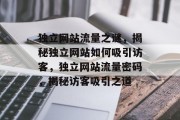 独立网站流量之谜，揭秘独立网站如何吸引访客，独立网站流量密码，揭秘访客吸引之道