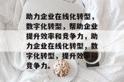 助力企业在线化转型，数字化转型，帮助企业提升效率和竞争力，助力企业在线化转型，数字化转型，提升效率和竞争力。