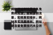 揭秘网站刷流量永久免费的方法，告别虚假流量，实现真实增长，揭秘真实流量增长，网站刷流量免费技巧大公开