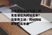流量费的去向之谜，究竟是谁在为网站买单？流量费之谜，揭秘网站背后的买单者