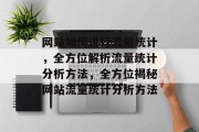 网站如何进行流量统计，全方位解析流量统计分析方法，全方位揭秘网站流量统计分析方法