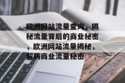 欧洲网站流量查询，揭秘流量背后的商业秘密，欧洲网站流量揭秘，解码商业流量秘密