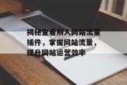 揭秘查看别人网站流量插件，掌握网站流量，提升网站运营效率