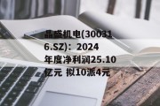 晶盛机电(300316.SZ)：2024年度净利润25.10亿元 拟10派4元