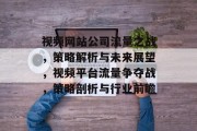 视频网站公司流量之战，策略解析与未来展望，视频平台流量争夺战，策略剖析与行业前瞻
