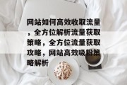网站如何高效收取流量，全方位解析流量获取策略，全方位流量获取攻略，网站高效吸粉策略解析