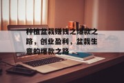 种植盆栽赚钱之爆款之路,创业盈利,盆栽生意的爆款之路 种植盆栽赚钱之爆款之路,创业盈利,盆栽生意的爆款之路
