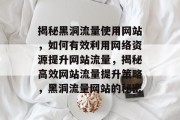 揭秘黑洞流量使用网站，如何有效利用网络资源提升网站流量，揭秘高效网站流量提升策略，黑洞流量网站的秘密