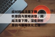 应对网站流量下降，剖析原因与策略调整，网站流量下降，深度剖析原因与策略优化之道