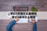 梦幻5开做什么最赚钱_梦幻5开干什么赚钱