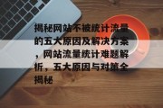 揭秘网站不被统计流量的五大原因及解决方案，网站流量统计难题解析，五大原因与对策全揭秘