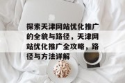 探索天津网站优化推广的全貌与路径，天津网站优化推广全攻略，路径与方法详解