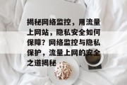 揭秘网络监控，用流量上网站，隐私安全如何保障？网络监控与隐私保护，流量上网的安全之道揭秘