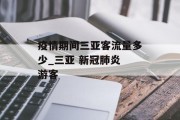 疫情期间三亚客流量多少_三亚 新冠肺炎 游客 疫情期间三亚客流量多少_三亚 新冠肺炎 游客