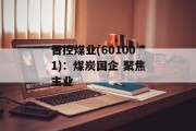 晋控煤业(601001)：煤炭国企 聚焦主业