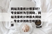 网站流量统计哪家好？专业解析为您揭晓，网站流量统计神器大揭秘，专业评测助您明智选择