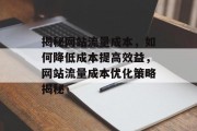 揭秘网站流量成本，如何降低成本提高效益，网站流量成本优化策略揭秘