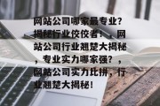 网站公司哪家最专业？揭秘行业佼佼者！，网站公司行业翘楚大揭秘，专业实力哪家强？，网站公司实力比拼，行业翘楚大揭秘！