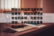 揭秘小网站刷流量的幕后黑手，揭秘流量泡沫背后的真相，流量泡沫揭秘，小网站刷流量黑幕大曝光