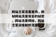 网站之家流量查询，揭秘网站流量背后的秘密，网站流量揭秘，网站之家深度解析流量秘密