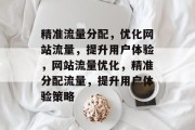 精准流量分配，优化网站流量，提升用户体验，网站流量优化，精准分配流量，提升用户体验策略