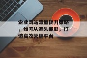 企业网站流量提升策略，如何从源头抓起，打造高效营销平台