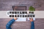 平阳做什么赚钱_平阳哪里有手工活拿回家做