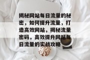 揭秘网站每日流量的秘密，如何提升流量，打造高效网站，揭秘流量密码，高效提升网站每日流量的实战攻略