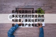 农村投资做什么赚钱,多元化的农村创业商机与前景,多元化农村创业,哪些产业有前景?