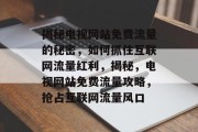 揭秘电视网站免费流量的秘密，如何抓住互联网流量红利，揭秘，电视网站免费流量攻略，抢占互联网流量风口