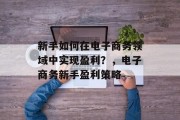 新手如何在电子商务领域中实现盈利？，电子商务新手盈利策略