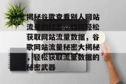 揭秘谷歌查看别人网站流量的秘密，如何轻松获取网站流量数据，谷歌网站流量秘密大揭秘，轻松获取流量数据的秘密武器