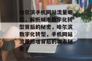 哈尔滨手机网站流量崛起，解析城市数字化转型背后的秘密，哈尔滨数字化转型，手机网站流量激增背后的城市秘密