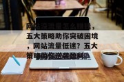 网站没流量怎么赚钱，五大策略助你突破困境，网站流量低迷？五大策略助你逆袭盈利