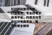 B2B网站策划攻略，打造高效、专业的电子商务平台，构建高效专业B2B电商平台，策划攻略全解析