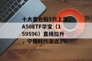 十大重仓股9只上涨，A50ETF华宝（159596）直线拉升，宁德时代涨近3%