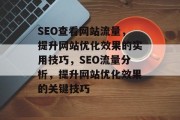 SEO查看网站流量，提升网站优化效果的实用技巧，SEO流量分析，提升网站优化效果的关键技巧