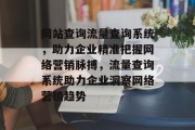 网站查询流量查询系统，助力企业精准把握网络营销脉搏，流量查询系统助力企业洞察网络营销趋势