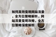 如何高效变现网站流量，全方位策略解析，网站流量变现攻略，全方位策略深度解析