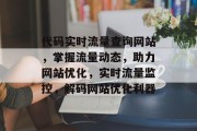 代码实时流量查询网站，掌握流量动态，助力网站优化，实时流量监控，解码网站优化利器