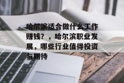 哈尔滨适合做什么工作赚钱?,哈尔滨职业发展,哪些行业值得投资与期待 哈尔滨适合做什么工作赚钱?,哈尔滨职业发展,哪些行业值得投资与期待