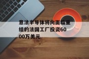 意法半导体将向面临重组的法国工厂投资6000万美元