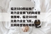 临沂SEO网站推广，助力企业腾飞的网络营销策略，临沂SEO优化助力企业飞跃，全方位网络营销攻略揭秘
