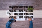 网站如何通过流量费实现盈利，策略与实践解析，网站流量费盈利模式揭秘，策略与实践深度解析