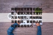 揭秘网站流量背后的秘密，看别人网站流量的方法与技巧，揭秘网站流量密码，掌握他人网站流量追踪技巧