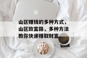 山区赚钱的多种方式,山区致富路,多种方法教你快速赚取财富