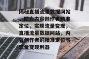 揭秘直播流量数据网站，助力内容创作者精准定位，实现流量变现，直播流量数据网站，内容创作者的精准定位与流量变现利器