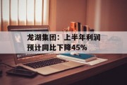 龙湖集团：上半年利润预计同比下降45%