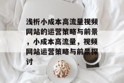 浅析小成本高流量视频网站的运营策略与前景，小成本高流量，视频网站运营策略与前景探讨